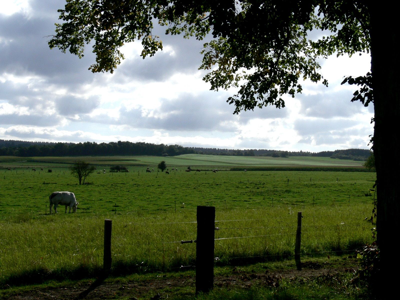 Landschaft bei Libin