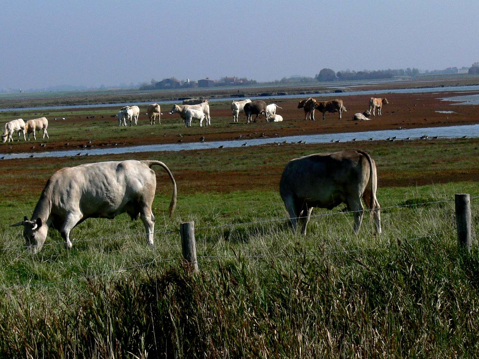 Ihnen geht es nicht schlecht
